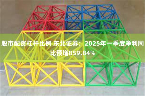 股市配资杠杆比例 东北证券：2025年一季度净利同比预增859.84%