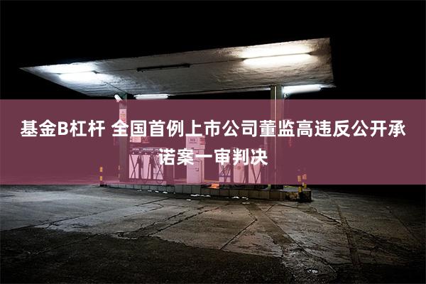 基金B杠杆 全国首例上市公司董监高违反公开承诺案一审判决