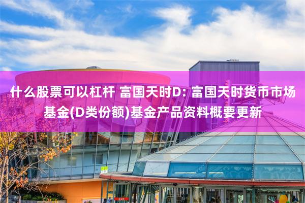 什么股票可以杠杆 富国天时D: 富国天时货币市场基金(D类份额)基金产品资料概要更新