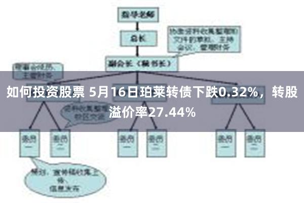 如何投资股票 5月16日珀莱转债下跌0.32%，转股溢价率27.44%