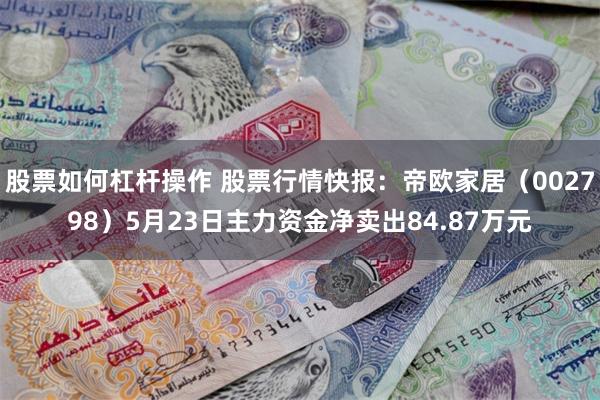 股票如何杠杆操作 股票行情快报：帝欧家居（002798）5月23日主力资金净卖出84.87万元