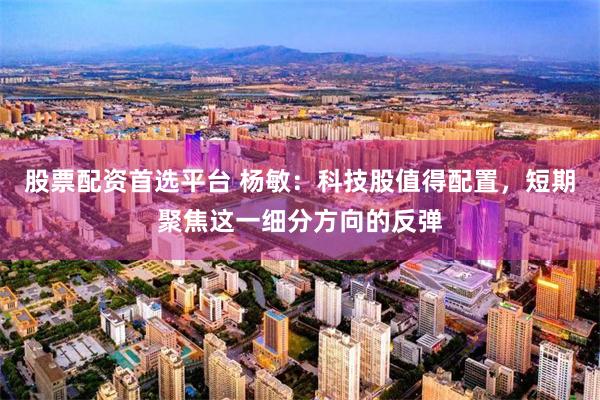 股票配资首选平台 杨敏：科技股值得配置，短期聚焦这一细分方向的反弹