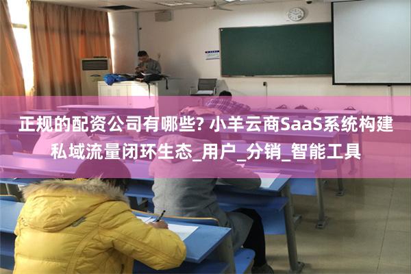 正规的配资公司有哪些? 小羊云商SaaS系统构建私域流量闭环生态_用户_分销_智能工具
