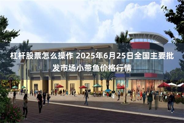 杠杆股票怎么操作 2025年6月25日全国主要批发市场小带鱼价格行情